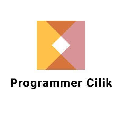 programmercilik's profile picture. 