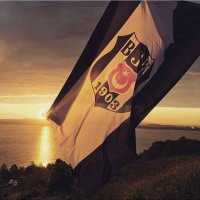 Yaşasın Beşiktaş Mücadelemiz(@bjkmucadele) 's Twitter Profile Photo