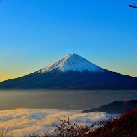 日本のNEWS (@t_s_apex_3) 's Twitter Profile