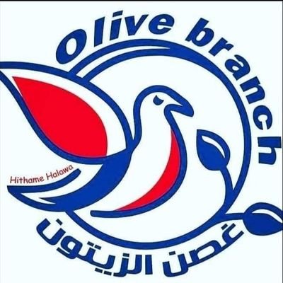 رئيس مجلس إدارة شركة غصن الزيتون - Olive branch لتصدير واستيراد جميع انواع الطيور ومستلزماتها وحكم دولي علي طيور الحمام الغزار المصري وحمام الزينه.