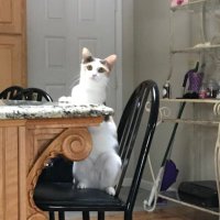 paula (@paula03194488) 's Twitter Profile