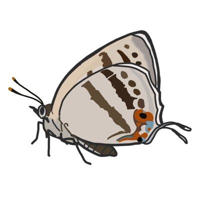 insect_hcc Profile Picture