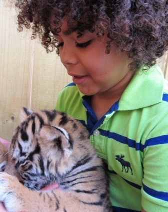 I want to get to know EVERYONE in our WORLD!  
ACTOR/MODEL http://t.co/51WkNzO4Dg 
PHOTO OF JOSH PLAYING WITH A BABY TIGER CUB.