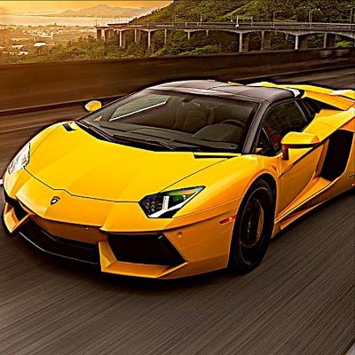 RbxMarty's profile picture. Hi Im A Small Gamer And I Play Roblox, I Have a Good Brain! And Everyone Go Follow Me On Roblox! Im Trying To Get To 1k Followers On Roblox! Thank you! StaySafe