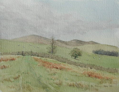 fullglare's profile picture. GLARE opposes  building  23 wind turbines on Blackcraig  near New Galloway, 33 more planned which will damage ecology, wildlife and the tourist industry.