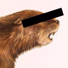 Climate Beaver (⧖)