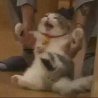 Atsdfgty's profile picture. Send me your location