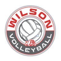 Wilson Volleyball (@dennywerner) 's Twitter Profile