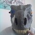 VelociHead (@acefan71) Twitter profile photo VelociHead (@acefan71) Twitter profile photo