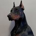 My Major is Dog (@major80530407) Twitter profile photo My Major is Dog (@major80530407) Twitter profile photo