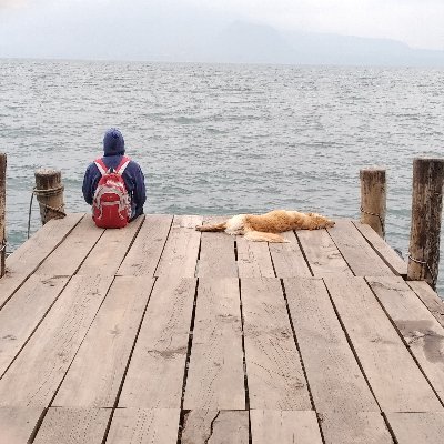 DanielVelsque19's profile picture. Computer's Science Student USAC