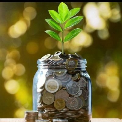 SoumyaR58772854's profile picture. puri