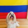 valentinaqr0912's profile picture. 