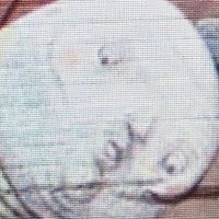 Kapfins (@kapfins) 's Twitter Profile