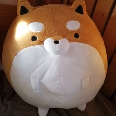 狛犬⚗🎠さんのプロフィール画像