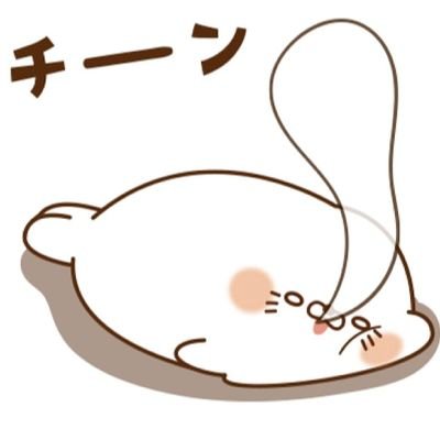 よろしくお願いします🎵