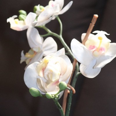 marketi18223089's profile picture. I trust you, god