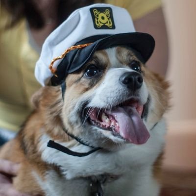 Just a Corgi in a big world.
@CorgiCoinBSC #1 Fan
https://t.co/6JHkC4kYB6
https://t.co/hNDpQ1zkSZ
https://t.co/9QMJ3WKUuZ
https://t.co/6PqGWfSOzh
Not financial advice
