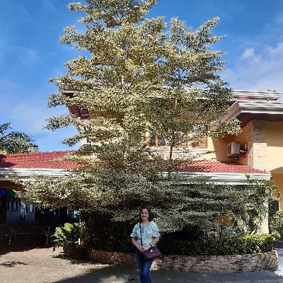 QuibotMarilyn's profile picture. 