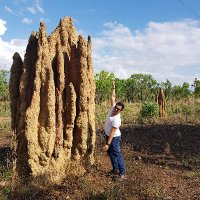 Ángel D. Popa-Báez (@popangeld) 's Twitter Profile Photo