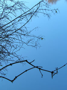 captainasthma's profile picture. Lecturer, artist and electronic musician. Generally, having fun with electricity.