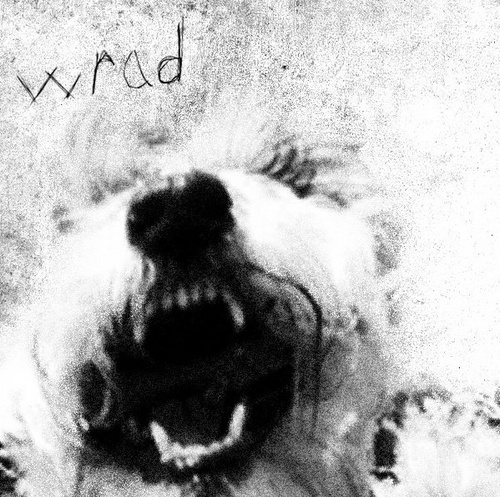 wradtheband's profile picture. 