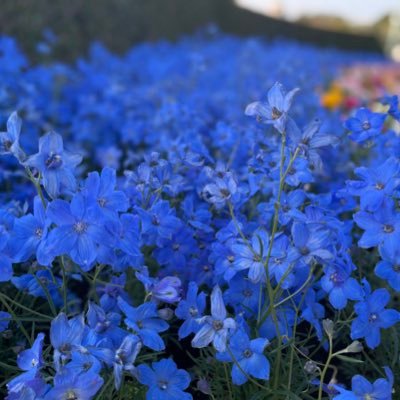 mi_4u_fmkt's profile picture. ふぉ〜ゆ〜/福田担💚 /箱推し/2019年のふゆパラで沼に/4人に幸せもらってます💚❤️💛💜/お友達があまり居ないので、仲良くしていただける方がいれば嬉しいです…！