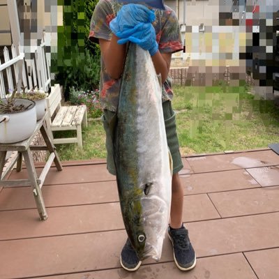 VSpNa4WNMAKZDv6's profile picture. 岡山県で釣りしてます🎣倉敷エリア中心にエギング、ジギング、メバリングを展開しています❗️釣りの情報教えて欲しい😊釣り歴4年目です、今年の目標はキロオーバーイカ、座布団ヒラメ、尺メバルを釣る❗️60ヒラメ、89ブリ、65真鯛達成❗️