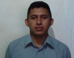 Ingeniero en sistemas