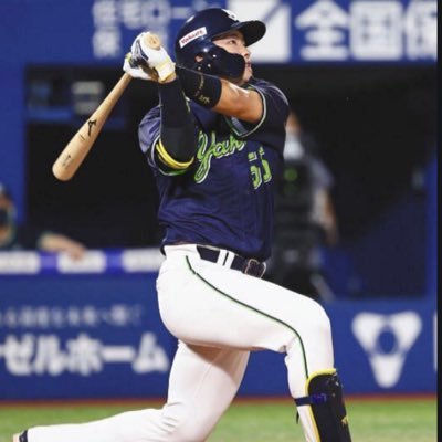 4guGUguGu's profile picture. スワローズファン