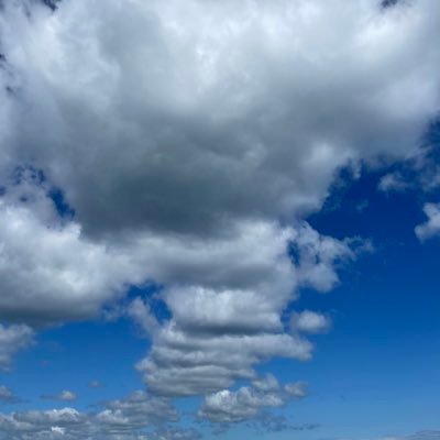 movementforall's profile picture. 