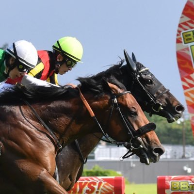rin_keiba6's profile picture. 競馬垢🐴関東牡27🐴 競馬好きな人と繋がりたい😌基本全レース購入。穴党＆データ派🗒お気軽に絡んでくれると嬉しいです☺️✨