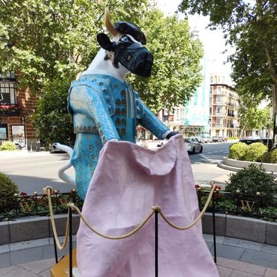 Sualora's profile picture. No mensajes privados.  no grupos ni listas.  Repito por si no se han enterado.   No mensajes privados.