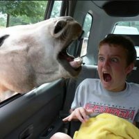 Brian Keith O'Hara (@bkohatl) 's Twitter Profile