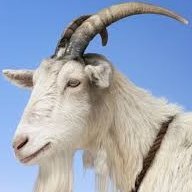 CryptoHau's profile picture. Chartist since 2002 | Crypto Trader since 2017 | Swing & Future Trader | 

I follow the #bitcoin market and make 💰

I use CT as contrarian & trade against them