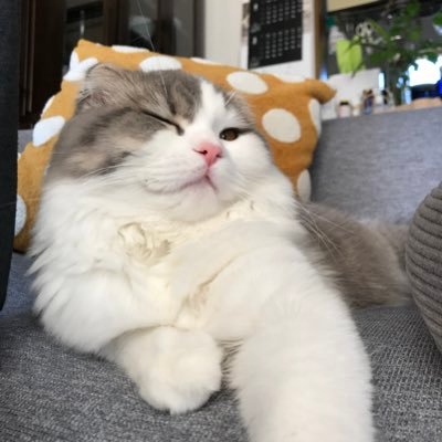 yukichiさんのプロフィール画像