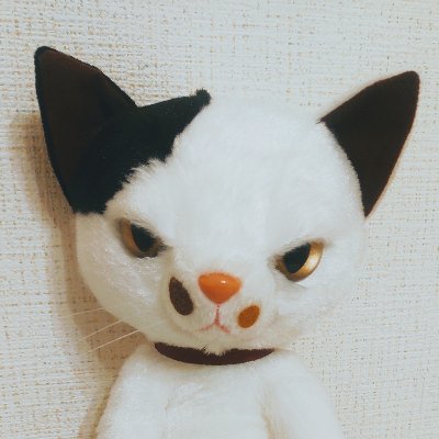 mochiinin's profile picture. 