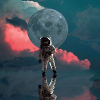 wilhelm_0229 (@wilhelm_0902) 's Twitter Profile