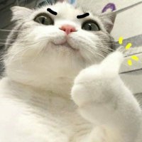 झरी⛈ (@sbina_mgr) 's Twitter Profile