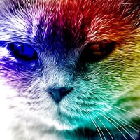 Russ The Webmaster : 🤬 #MDANT (@x9zero) 's Twitter Profile