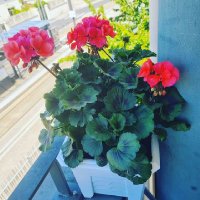 tatouns (@touns69) 's Twitter Profile Photo