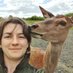 Megan Rowland (@wayfaringhind) Twitter profile photo Megan Rowland (@wayfaringhind) Twitter profile photo