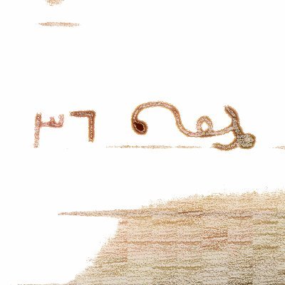 dhoo_man's profile picture. Dhoo means island, 
About islands, Atolls, Culture, History, islanders life