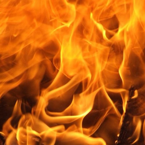 enricparedes1's profile picture. 