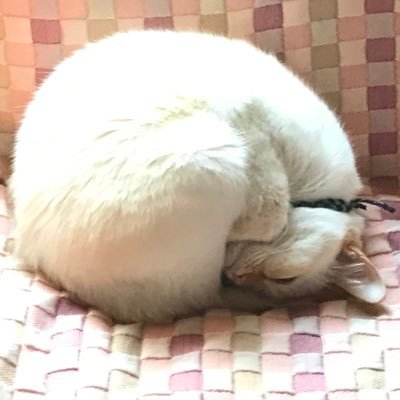 なっちゃんさんのプロフィール画像