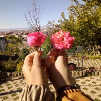 Zeynep (@sosyolog1233444) 's Twitter Profile Photo