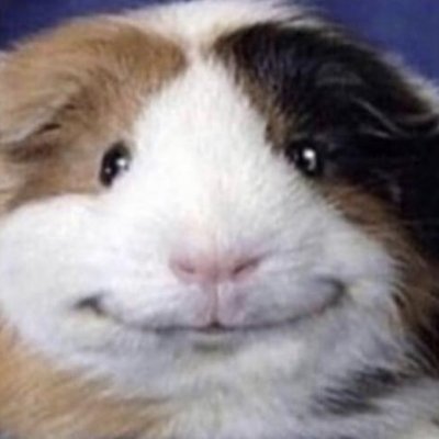 Smegma Gamingさんのプロフィール画像