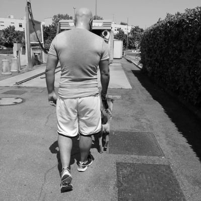 Mario17486184's profile picture. Kishu holder