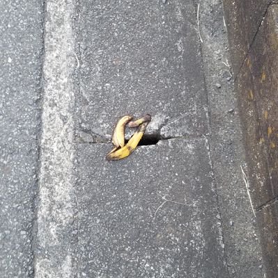 7ezSOql9RrhM2RY's profile picture. ﾜｧ───ヽ(*ﾟ∀ﾟ*)ﾉ───ｲ