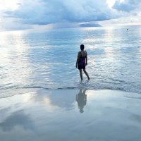 Alka 🇮🇳 (@alka77057802) 's Twitter Profile Photo Alka 🇮🇳 (@alka77057802) 's Twitter Profile Photo